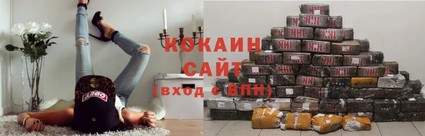 амф Ладушкин