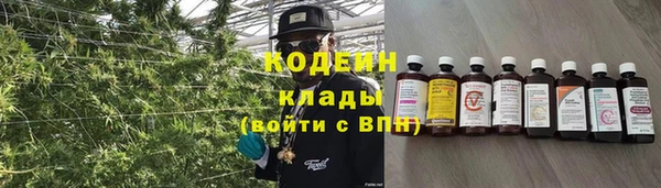 амф Ладушкин