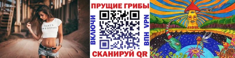 Псилоцибиновые грибы Cubensis  Купить закладки  Сочи 